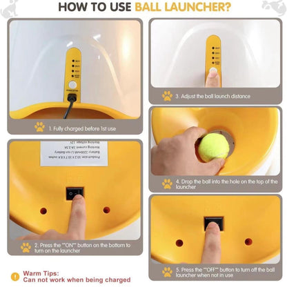 Automatic Dog Ball Launcher for Small to Medium Dogs
