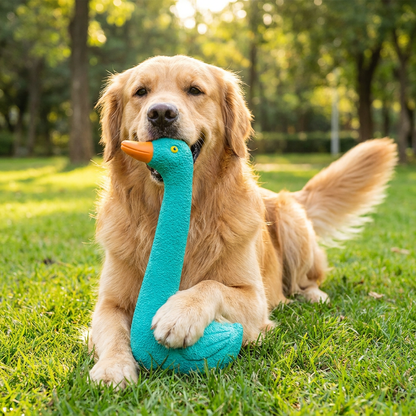 XXL Durable Teeth Cleaning Latex Dog Toy