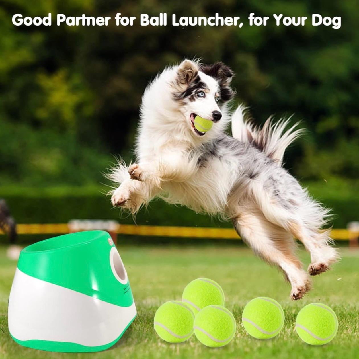 Automatic Dog Ball Launcher for Small to Medium Dogs