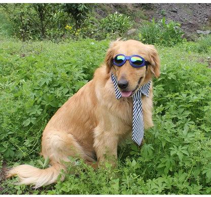 UV Protection Glasses for Dogs in 7 Colors