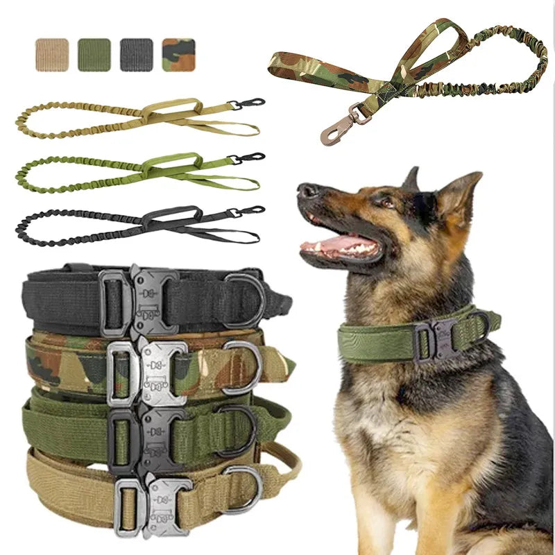 Adjustable Nylon Dog Collar with Strong Click Closure