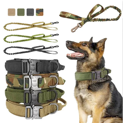 Adjustable Nylon Dog Collar with Strong Click Closure