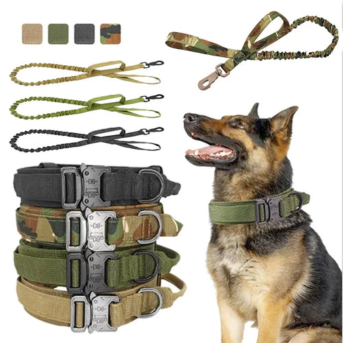 Adjustable Nylon Dog Collar with Strong Click Closure