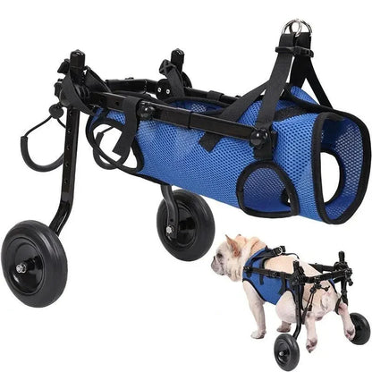 Mobility Aid for Cats and Dogs - Wheelchair for Mobility and Independence