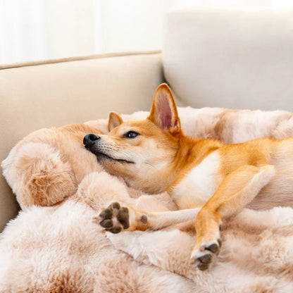 Cozy Dog Bed – For Relaxed and Comfortable Sleep
