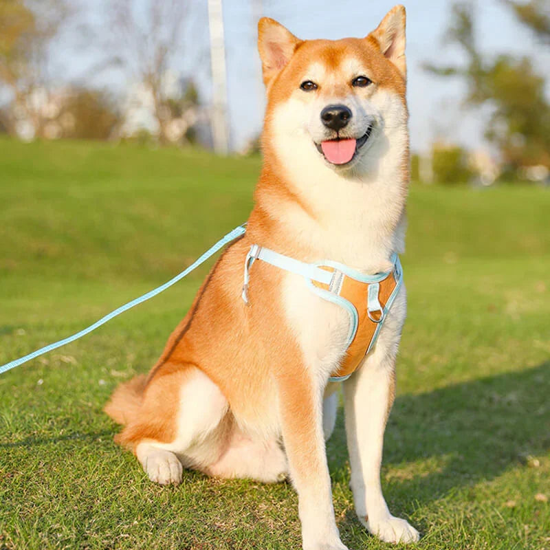 Reflective Dog Harness Set