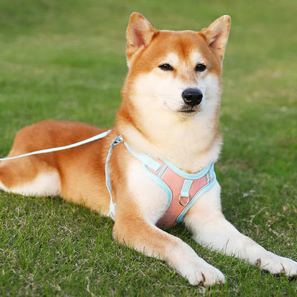 Reflective Dog Harness Set
