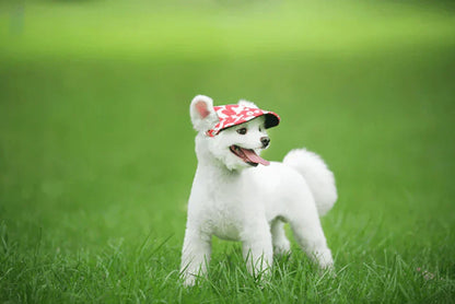 Fashion Round Cap For Dogs