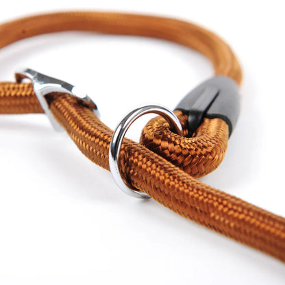 Durable Dog Leash with Carabiner for a Safe Walk
