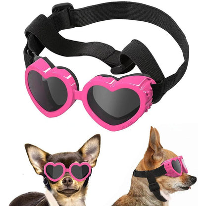 Petsors Ultimate Pet Surprise Bundle | 5 Random Items From 21 Premium Products | Dog & Cat Toys, Gadgets & Accessories