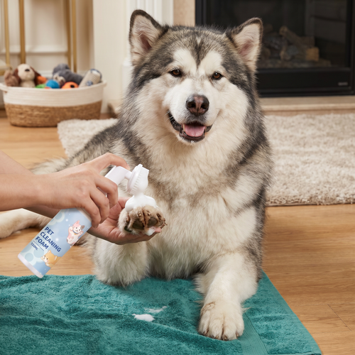 Gentle Waterless Paw Cleansing Foam with Brush for Dogs