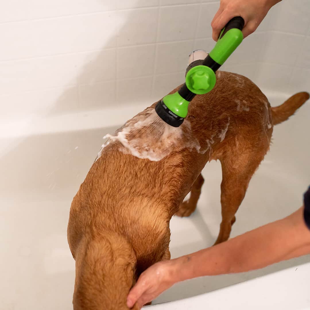 Dog Shampoo – Spray Head