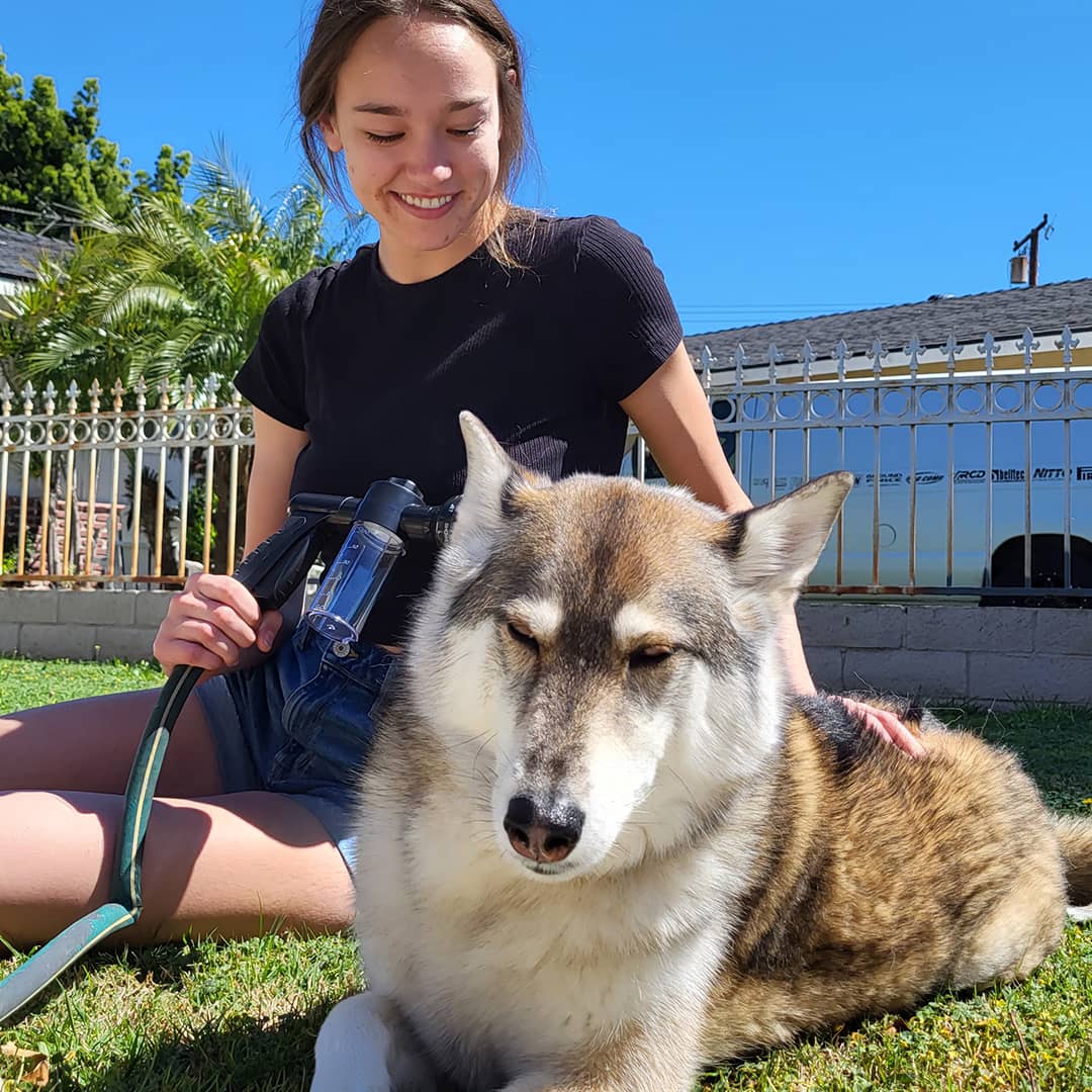 Dog Shampoo – Spray Head