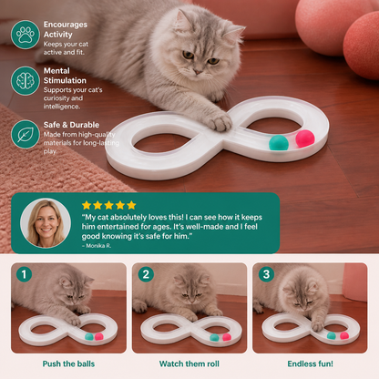 Interactive Cat Track Ball Toy
