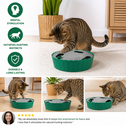 Interactive Hide & Seek Mouse Cat Toy