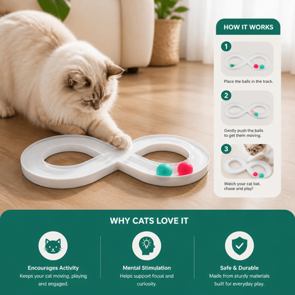 Interactive Cat Track Ball Toy