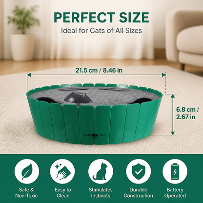 Interactive Hide & Seek Mouse Cat Toy
