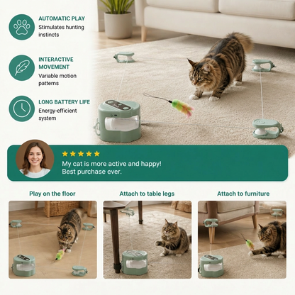 Automatic Cat Chasing Track Toy