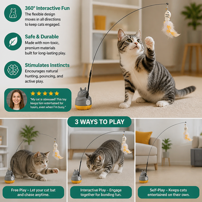 360° Interactive Self-Play Cat Teaser