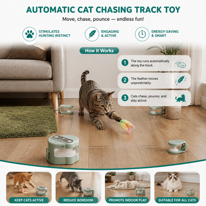 Automatic Cat Chasing Track Toy