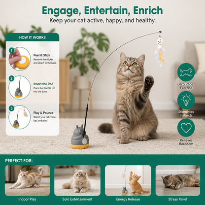 360° Interactive Self-Play Cat Teaser