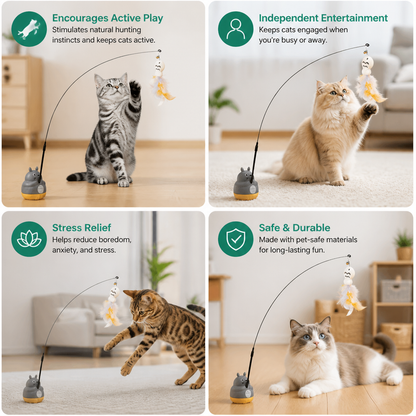 360° Interactive Self-Play Cat Teaser