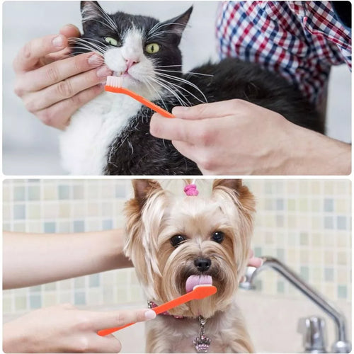 Dual-Headed Toothbrushes for Pets, Multi-Pack