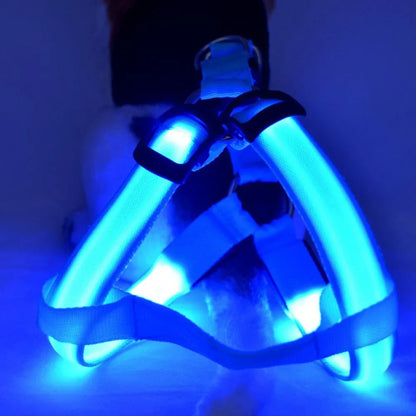 Dog Harness with Light Function