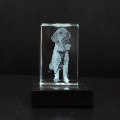 Personalised 2D/3D Crystal Photo Lamp with Laser Engraving