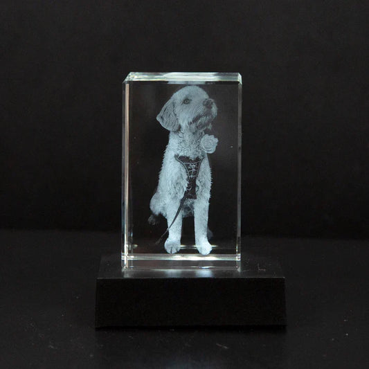 Personalised 2D/3D Crystal Photo Lamp with Laser Engraving