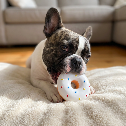 Colorful Squeaky Donut Dog Toy