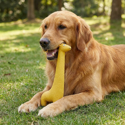 XXL Durable Teeth Cleaning Latex Dog Toy